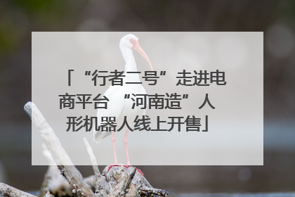 “行者二号”走进电商平台 “河南造”人形机器人线上开售