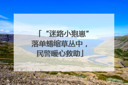 “迷路小狍崽”落单蜷缩草丛中，民警暖心救助