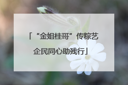 “金姐桂哥”传粽艺 企民同心助残行