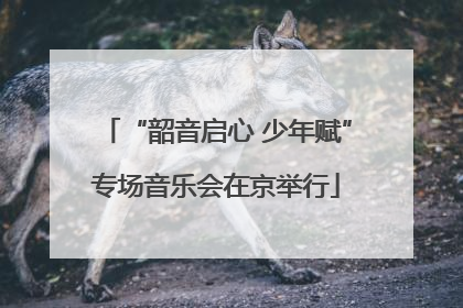 “韶音启心 少年赋”专场音乐会在京举行