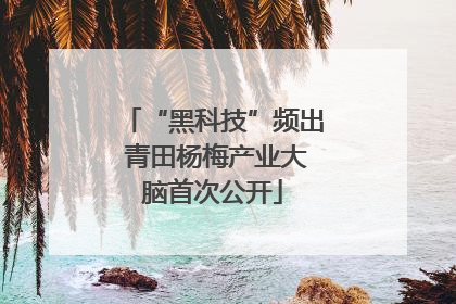 “黑科技”频出 青田杨梅产业大脑首次公开