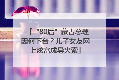 “80后”蒙古总理因何下台？儿子女友网上炫富成导火索