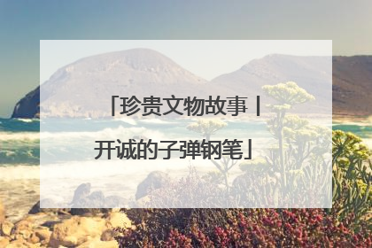 珍贵文物故事丨开诚的子弹钢笔