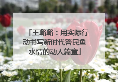 王璐璐：用实际行动书写新时代警民鱼水情的动人篇章