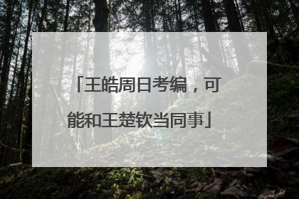 王皓周日考编，可能和王楚钦当同事