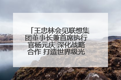 王忠林会见联想集团董事长兼首席执行官杨元庆 深化战略合作 打造世界级光电子信息产业集群