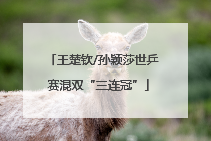 王楚钦/孙颖莎世乒赛混双“三连冠”