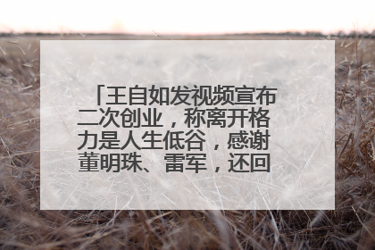 王自如发视频宣布二次创业，称离开格力是人生低谷，感谢董明珠、雷军，还回应了“工资条”：清楚自己要什么……