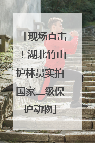 现场直击！湖北竹山护林员实拍国家二级保护动物