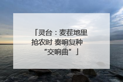 灵台：麦茬地里抢农时 奏响复种“交响曲”