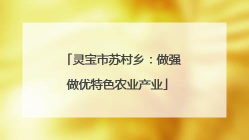 灵宝市苏村乡：做强做优特色农业产业