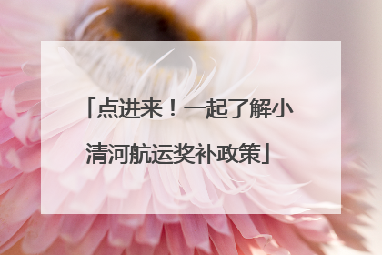 点进来！一起了解小清河航运奖补政策