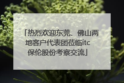 热烈欢迎东莞、佛山两地客户代表团莅临itc保伦股份考察交流