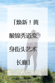 焕新！黄陂锦秀道变身街头艺术长廊