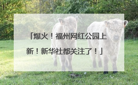 爆火！福州网红公园上新！新华社都关注了！