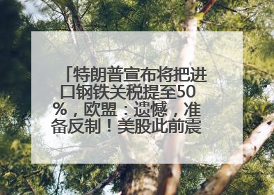 特朗普宣布将把进口钢铁关税提至50%，欧盟：遗憾，准备反制！美股此前震荡，机构：美元正进入熊市