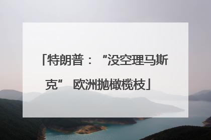 特朗普：“没空理马斯克” 欧洲抛橄榄枝