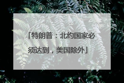 特朗普：北约国家必须达到，美国除外