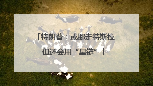 特朗普：或挪走特斯拉 但还会用“星链”