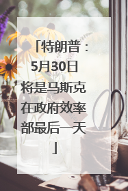 特朗普：5月30日将是马斯克在政府效率部最后一天