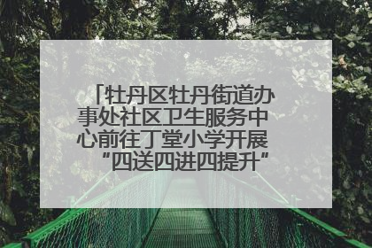 牡丹区牡丹街道办事处社区卫生服务中心前往丁堂小学开展“四送四进四提升”及无烟日宣传活动