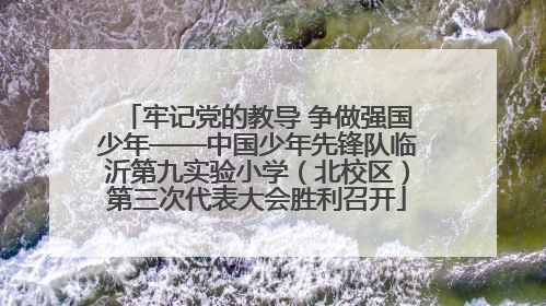 牢记党的教导 争做强国少年——中国少年先锋队临沂第九实验小学（北校区）第三次代表大会胜利召开