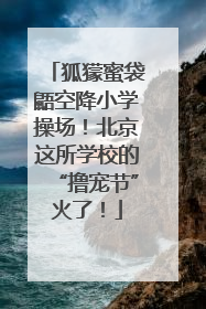 狐獴蜜袋鼯空降小学操场！北京这所学校的“撸宠节”火了！