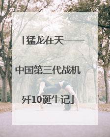 猛龙在天——中国第三代战机歼10诞生记