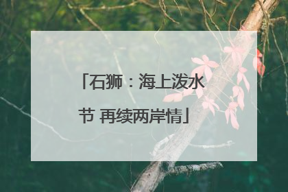 石狮：海上泼水节 再续两岸情