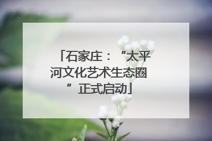 石家庄：“太平河文化艺术生态圈”正式启动