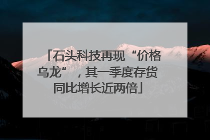 石头科技再现“价格乌龙”，其一季度存货同比增长近两倍