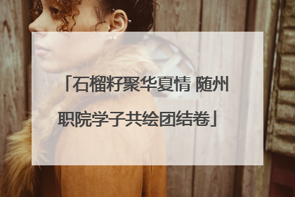 石榴籽聚华夏情 随州职院学子共绘团结卷