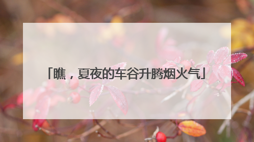 瞧，夏夜的车谷升腾烟火气