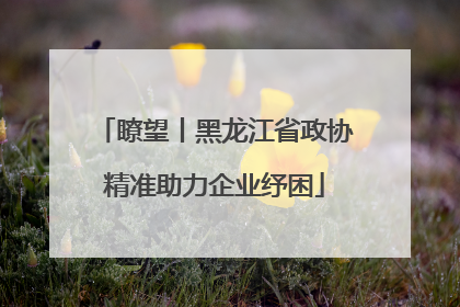 瞭望丨黑龙江省政协精准助力企业纾困