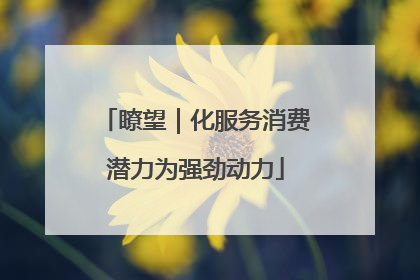瞭望｜化服务消费潜力为强劲动力