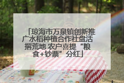 琼海市万泉镇创新推广水稻种植合作社盘活撂荒地 农户喜提“粮食+钞票”分红