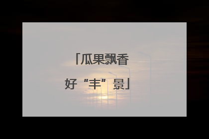 瓜果飘香 好“丰”景