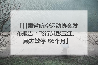 甘肃省航空运动协会发布报告：飞行员彭玉江、顾志敏停飞6个月