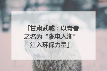 甘肃武威：以青春之名为“陇电入浙”注入环保力量