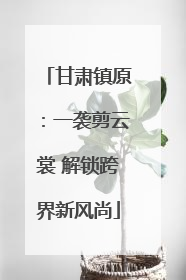 甘肃镇原：一袭剪云裳 解锁跨界新风尚