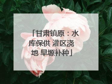 甘肃镇原：水库保供 灌区浇地 旱塬补种