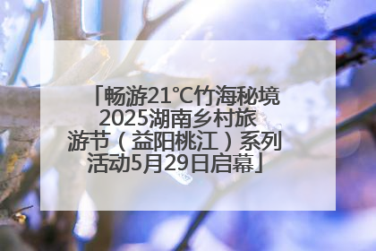畅游21℃竹海秘境 2025湖南乡村旅游节（益阳桃江）系列活动5月29日启幕