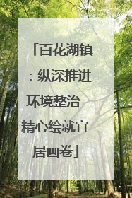 百花湖镇：纵深推进环境整治 精心绘就宜居画卷