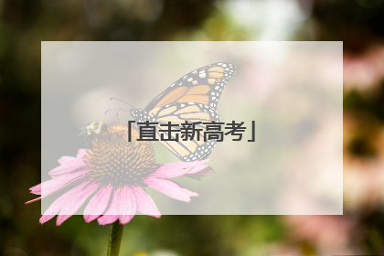 直击新高考