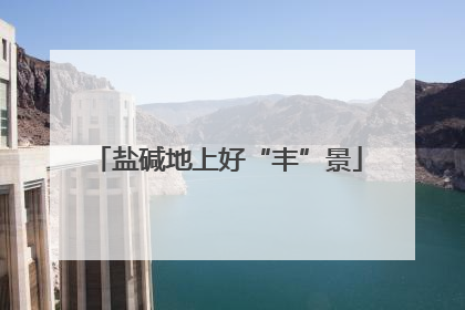 盐碱地上好“丰”景
