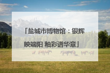 盐城市博物馆：银辉映端阳 釉彩谱华章