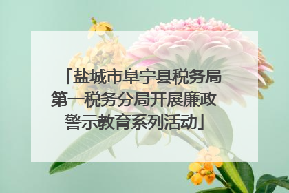 盐城市阜宁县税务局第一税务分局开展廉政警示教育系列活动