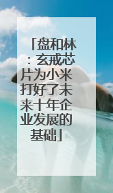 盘和林：玄戒芯片为小米打好了未来十年企业发展的基础