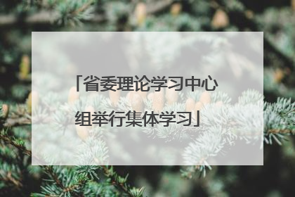 省委理论学习中心组举行集体学习