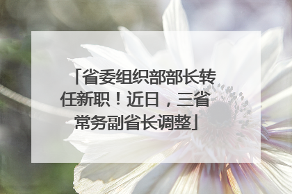 省委组织部部长转任新职！近日，三省常务副省长调整